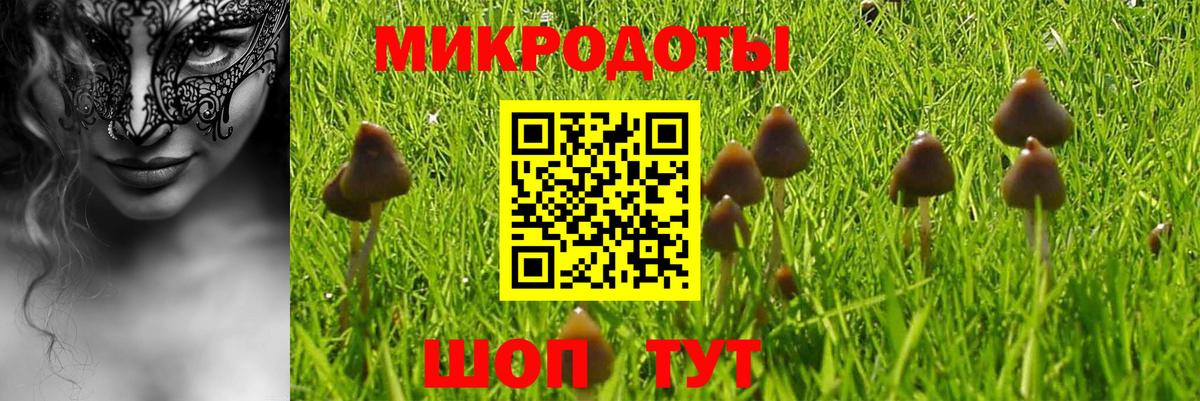 Галлюциногенные грибы GOLDEN TEACHER  Вход с VPN  Балтийск 